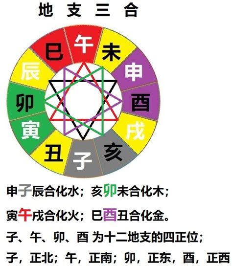 五行六合|五行派八字基礎入門（五）天干五合與地支六合｜方格子 vocu